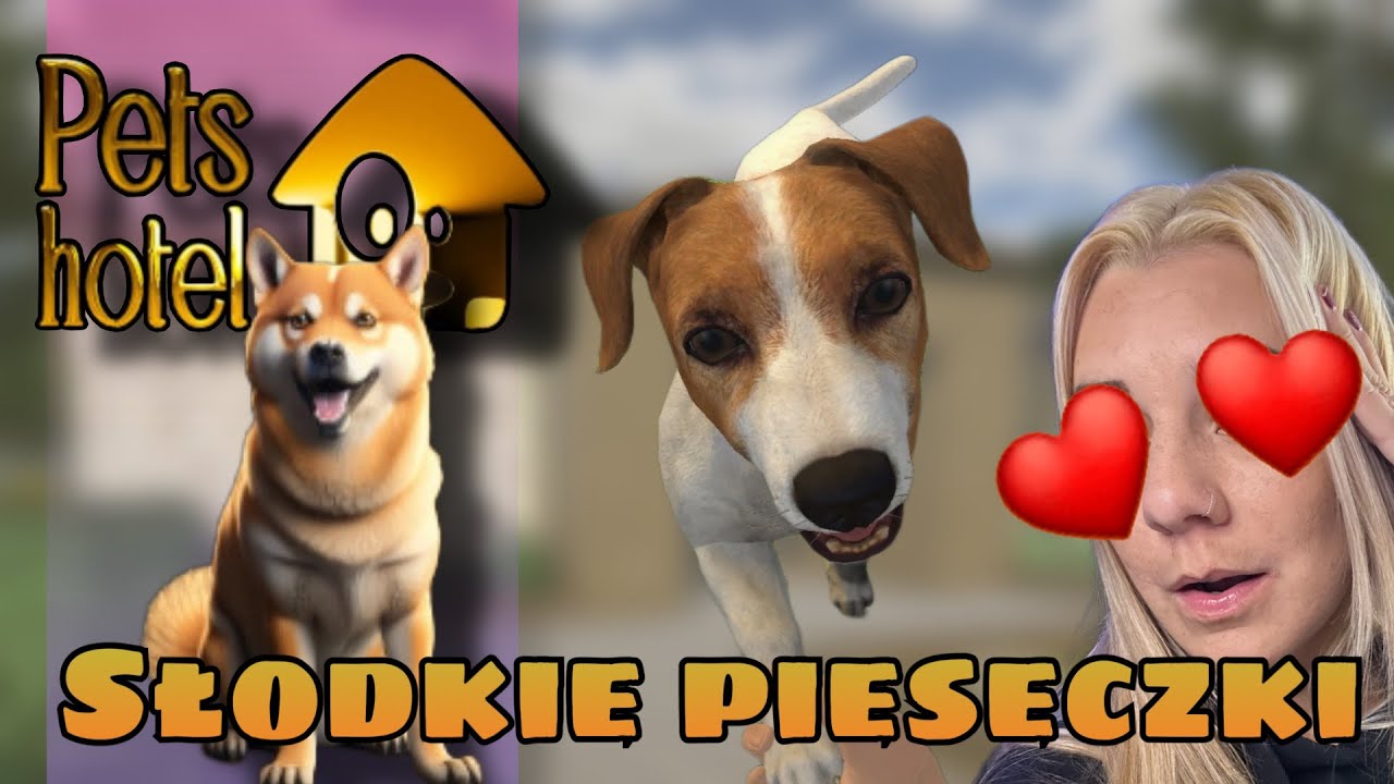 🐶🐱TWORZĘ MÓJ WŁASNY HOTEL DLA ZWIERZĄT || PETS HOTEL 1
