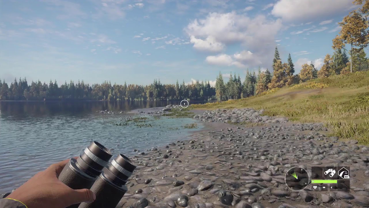 Hunter call of the wild hunting bears