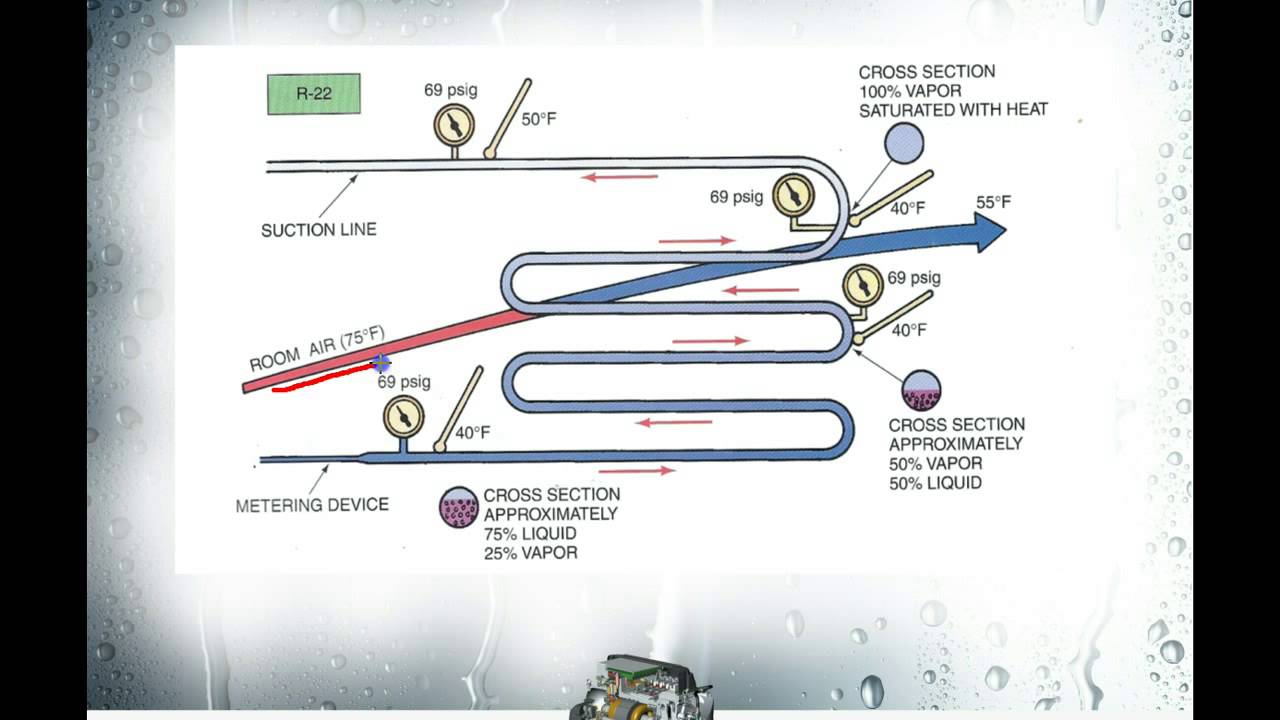 Module 3 - The Evaporator