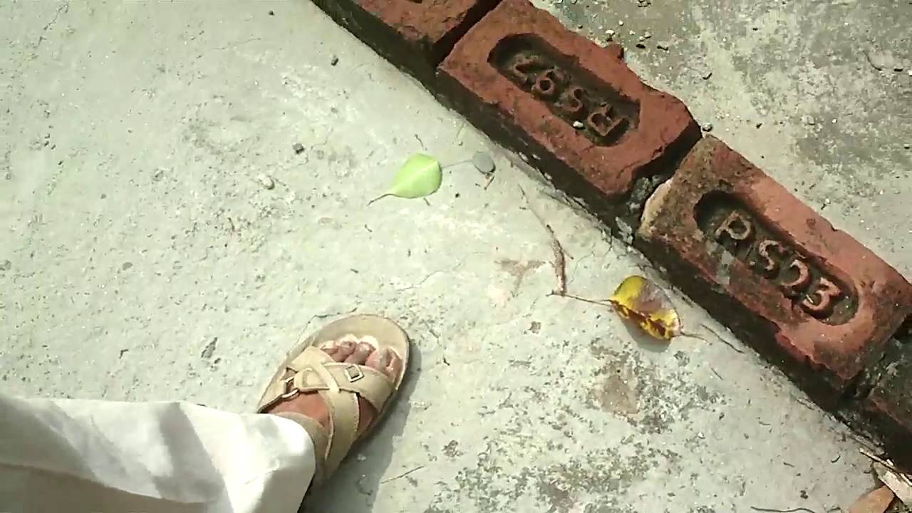 Saharanpur Daytime Housebreaking  by Criminals in presence of police