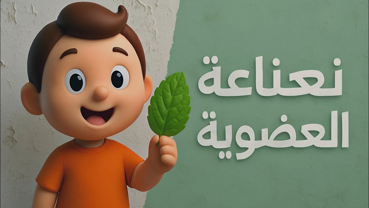 المحاضره التانيه من نعناعة العضوية 🌱🤍 