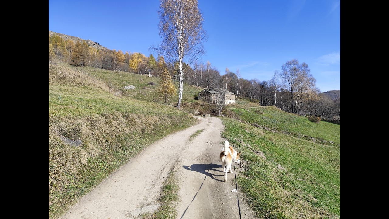 Escursione da Ru&agrave; (Sampeyre), l'Anello del colle del Prete 07_11_2024