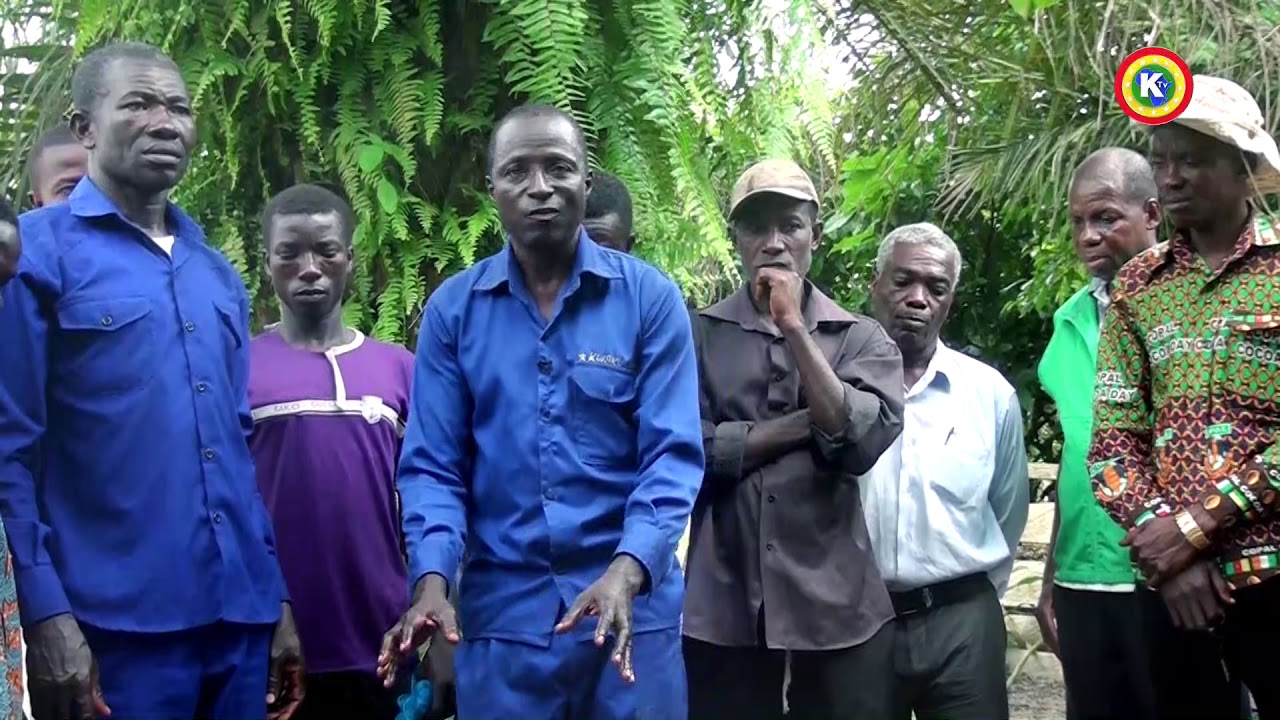 Kantanka's Organic Crop Plantation - EP 03 #trending #shorts #health #new #organic #newvideo