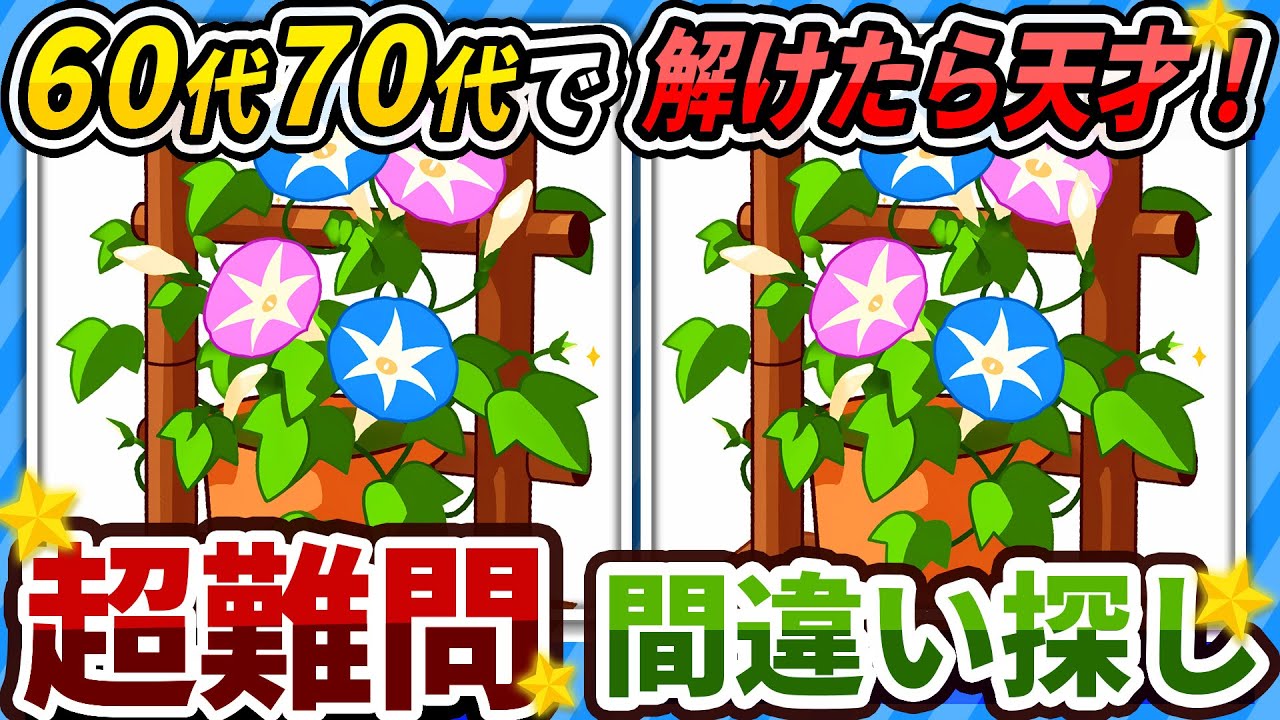 【間違い探しクイズ】⚠️むずかしい朝顔のイラスト編！脳活＆脳トレにおススメ無料ゲーム【アハ体験有り】#211