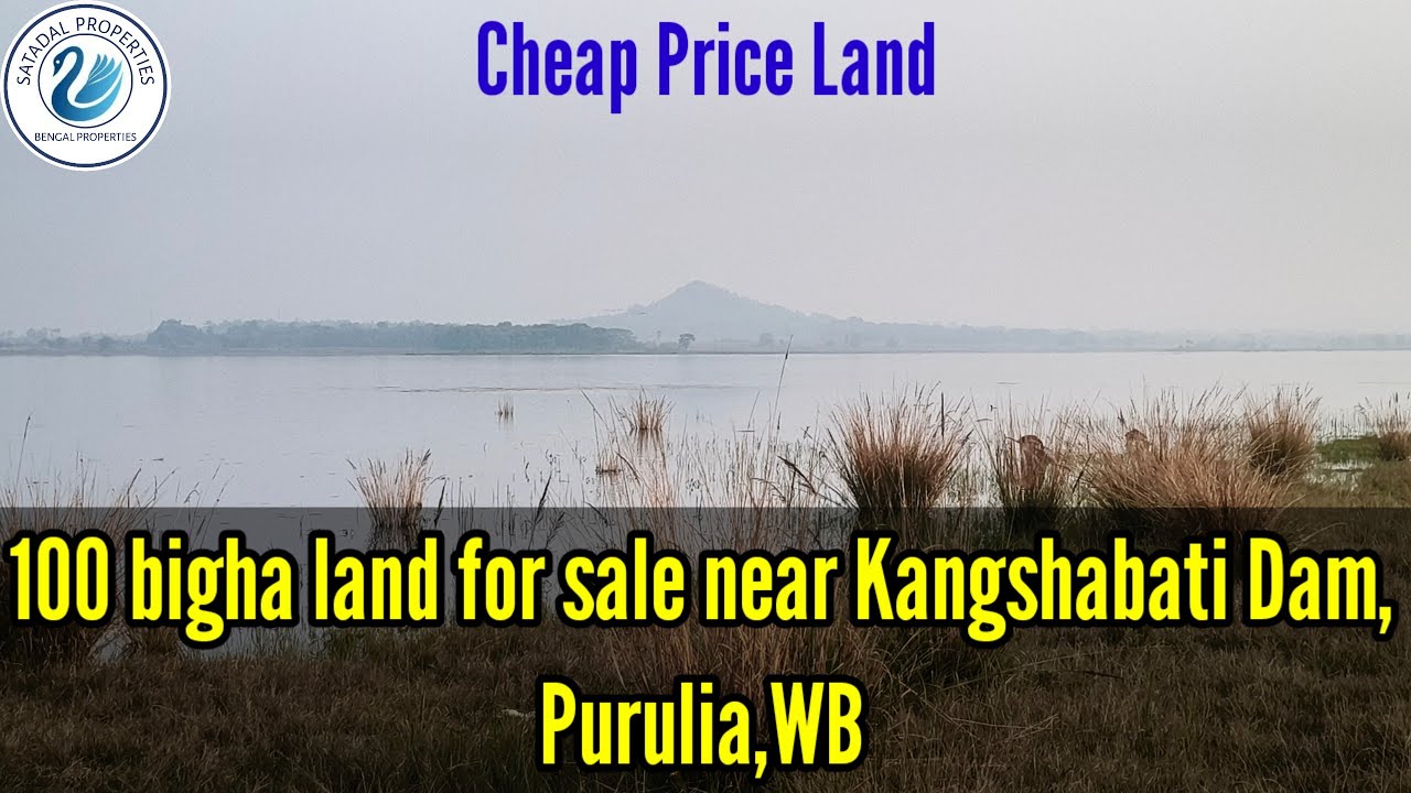 #KangshabatiDam 🙏🏻100 bigha land for sale near Kangshabati Dam, Manbazar, Purulia,WB.M-7679452742 🙏🏻