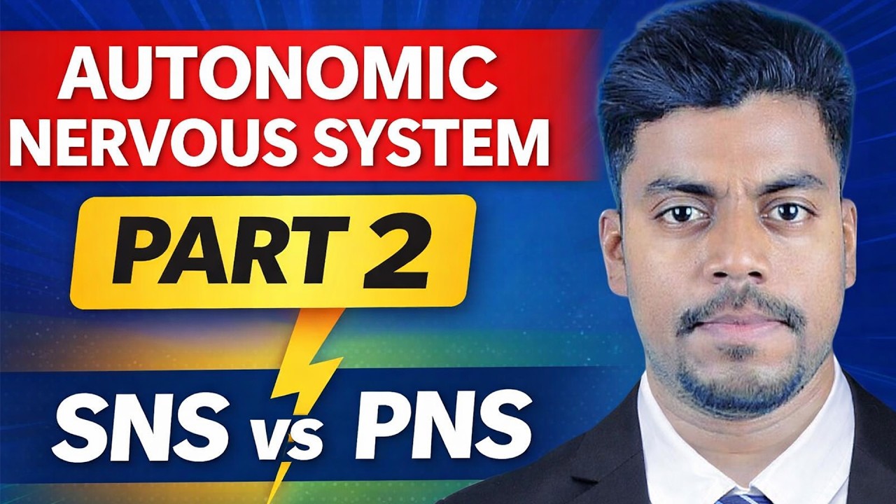 Autonomic Nervous System Part 2 | ANS Divisions & Functions