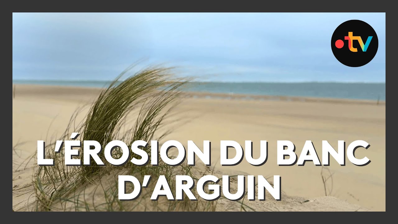 Le Banc d'Arguin, baromètre du changement climatique