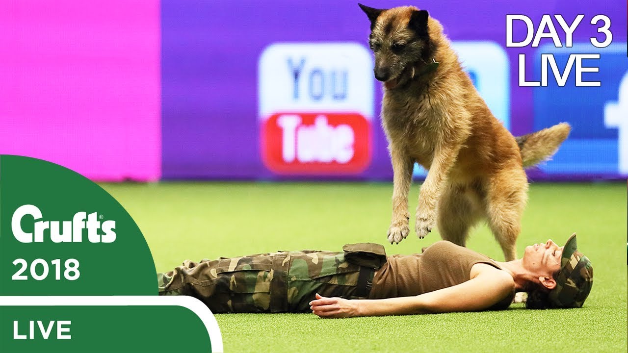 Day 3 Live Stream | Crufts 2018