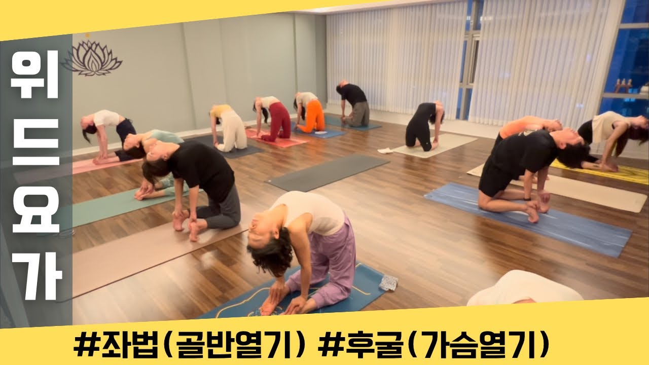 [엔젤요가] 함께하는 요가 • 위드요가 | 골반풀고 가슴열기