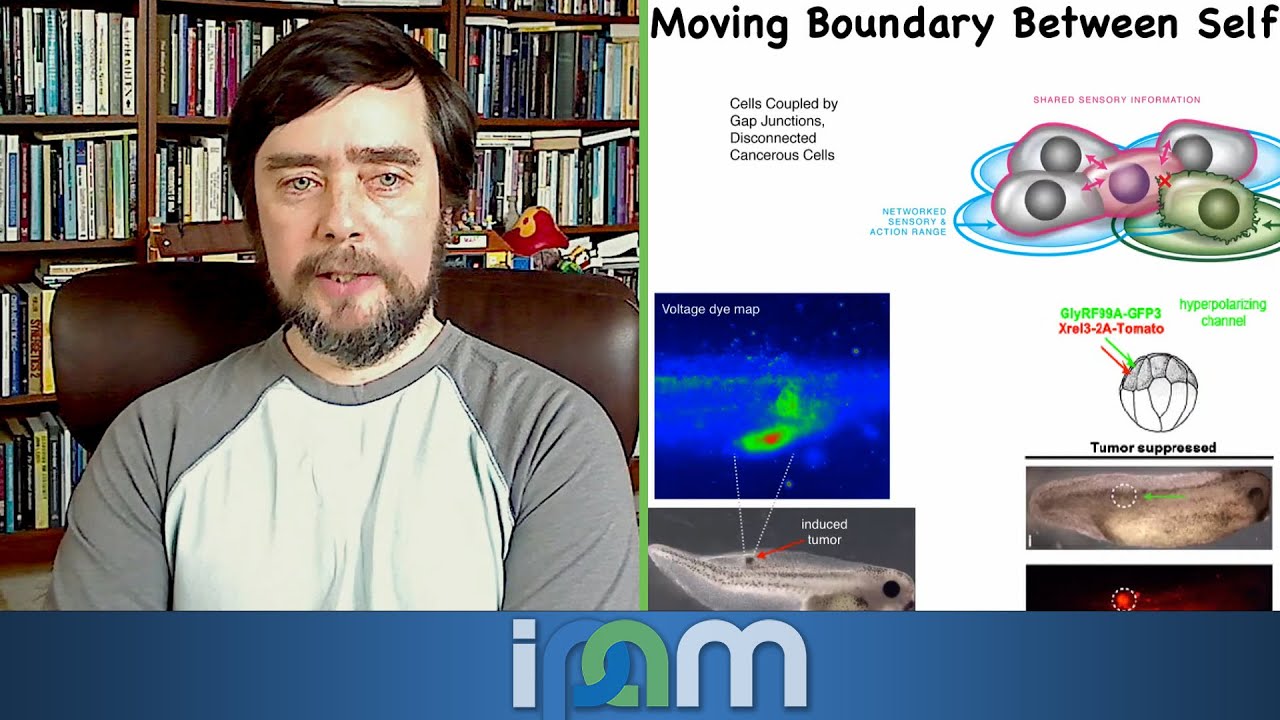 Michael Levin - Plasticity w/out genetic change: bioelectric embryos & synthetic proto-organisms