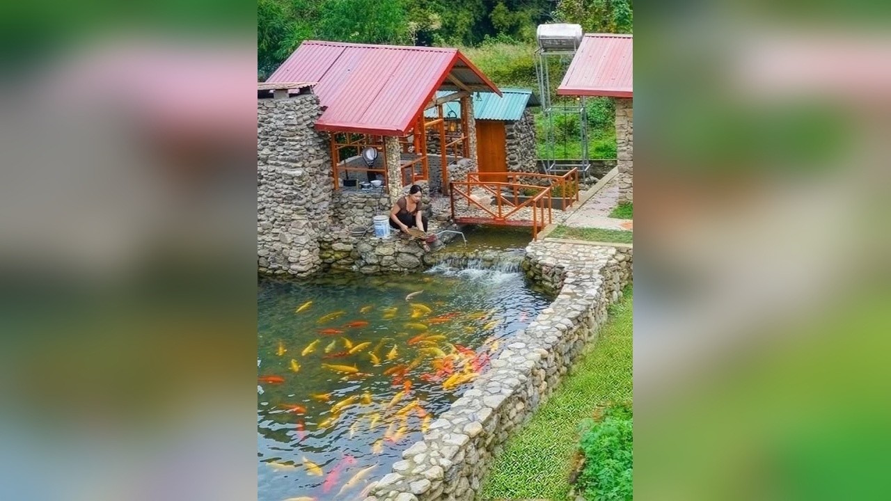 用鹅卵石在小桥下方打造一座别致的鱼缸，养殖观赏性锦鲤