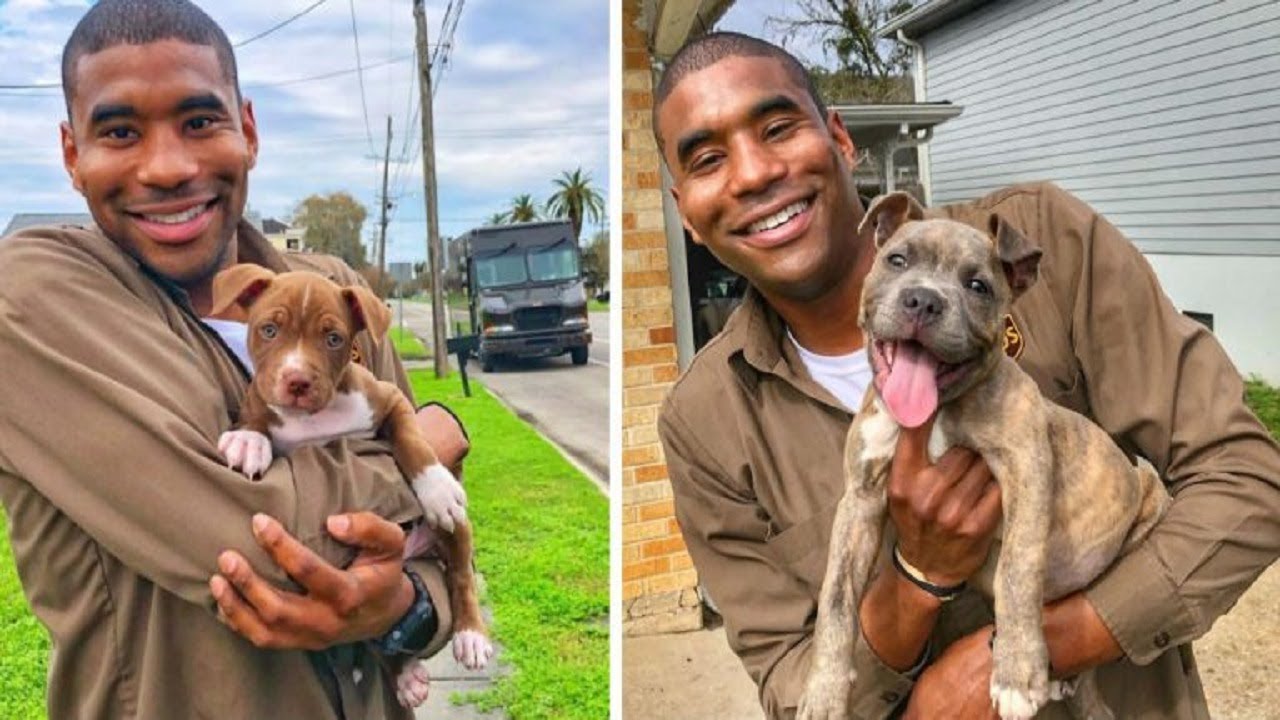 This UPS Driver Takes The Most Joyful Photos With The Dogs On His Route