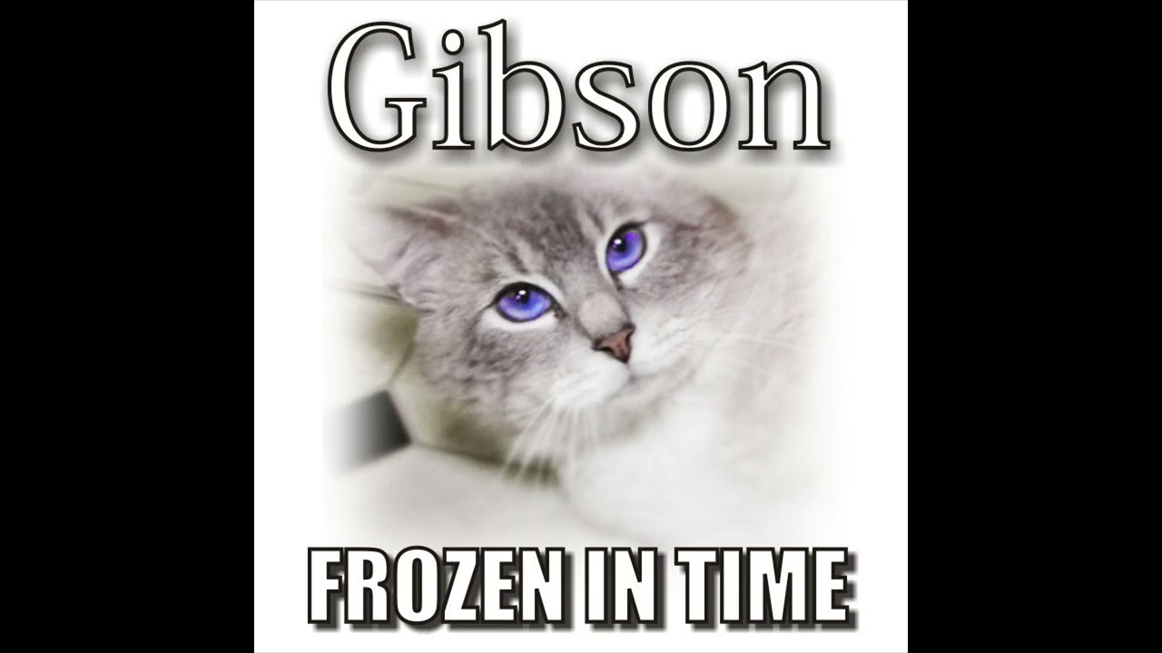 Steve Cash - Frozen In Time (Gibson's Memorial) - JayTheBillZ Mix