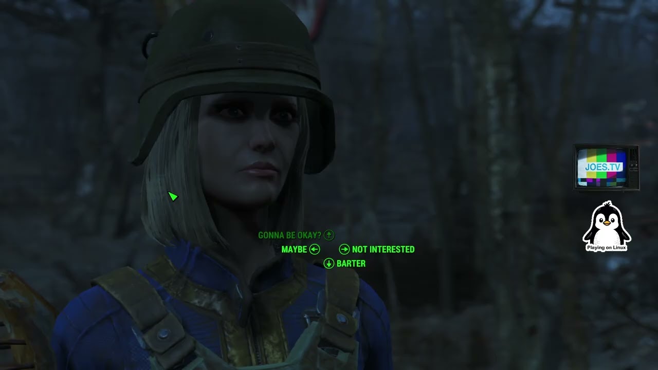 Linux Gaming - Fallout 4 Episode 4, Capture Test and Rambling