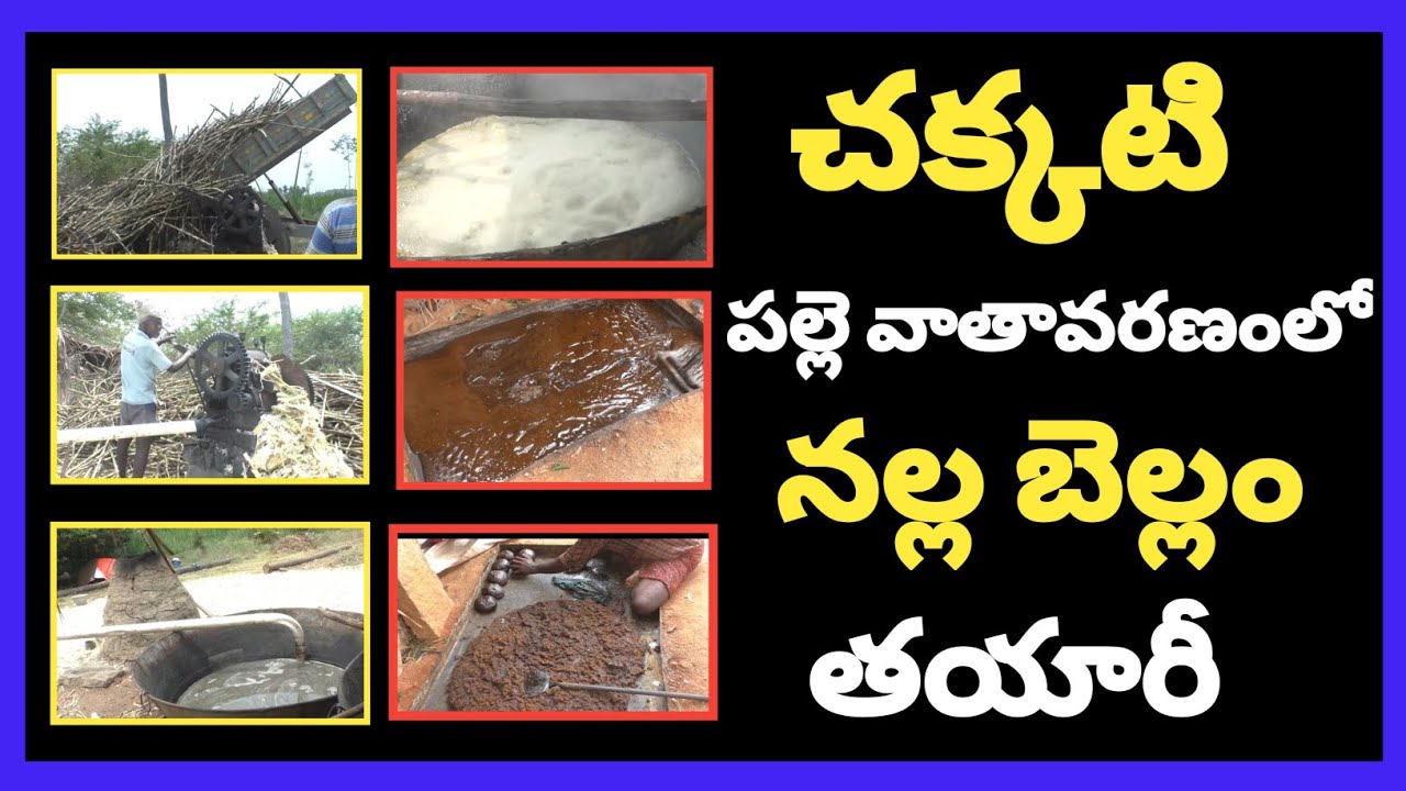 Traditional Black Jaggery Preparation Telugu | Jaggery Making Telugu |Jaggery Preparation| HB Talks
