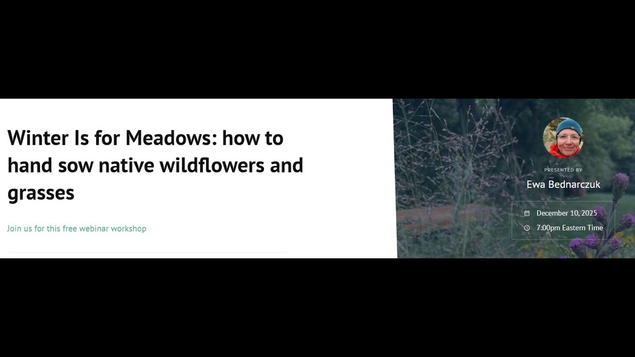Winter is for Meadows