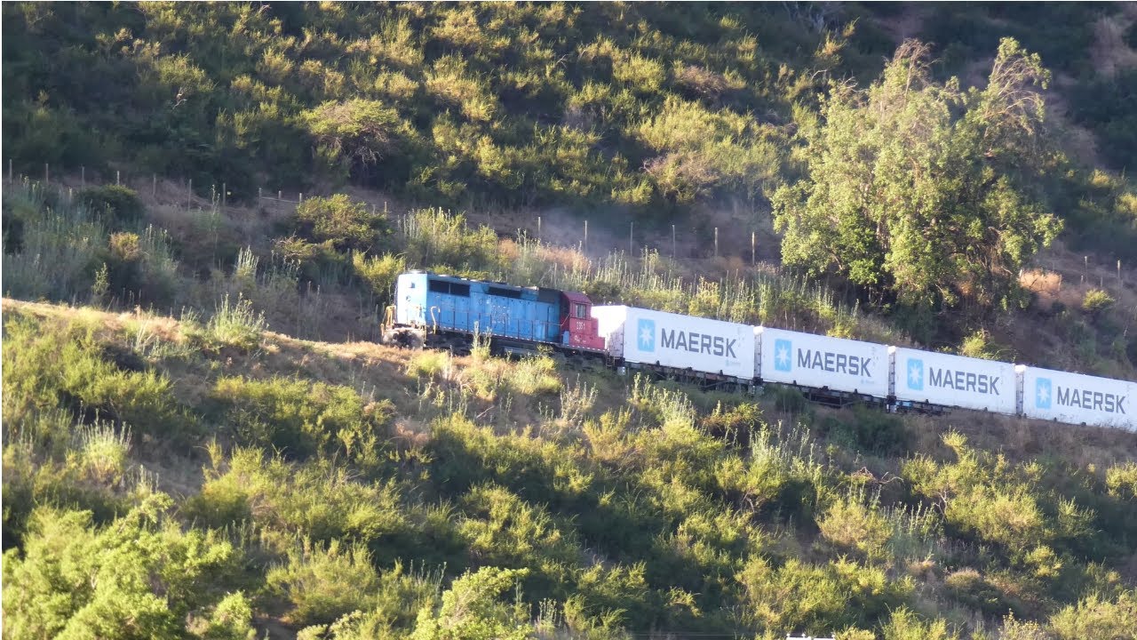 El gran viaje del tren cerezas desde Quinta a Barrancas con la locomotora D-2351