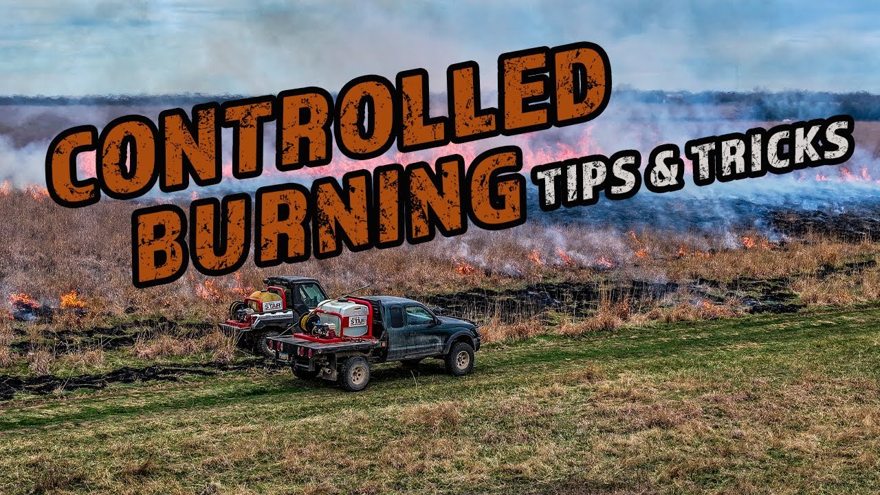 The Ultimate Guide to Controlled Burns! 🔥 Benefits, Safety & Pro Tips for Pasture Burning