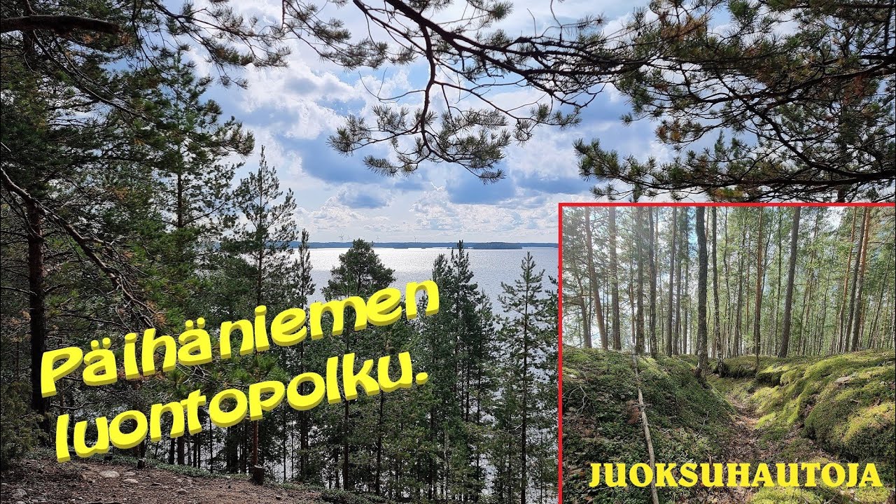 Päihäniemen uusi luontopolku Taipalsaarella