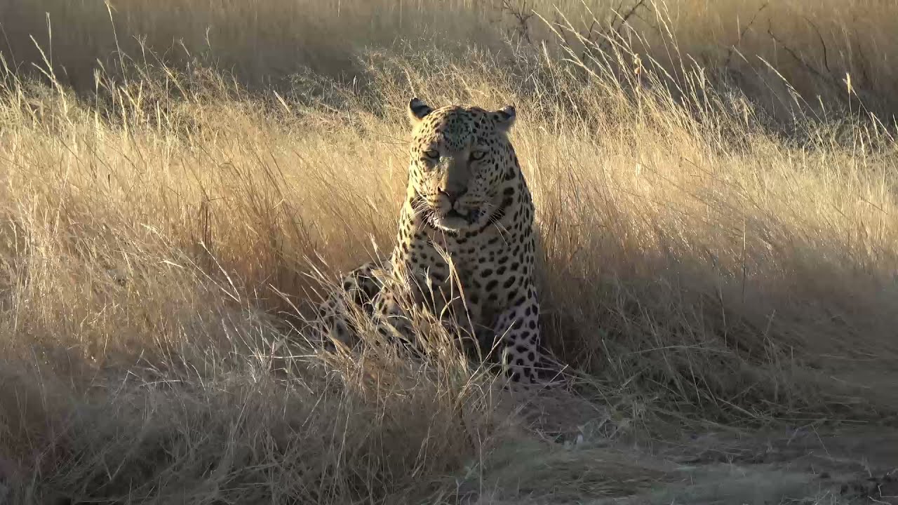 Namibia Trip - July 2021
