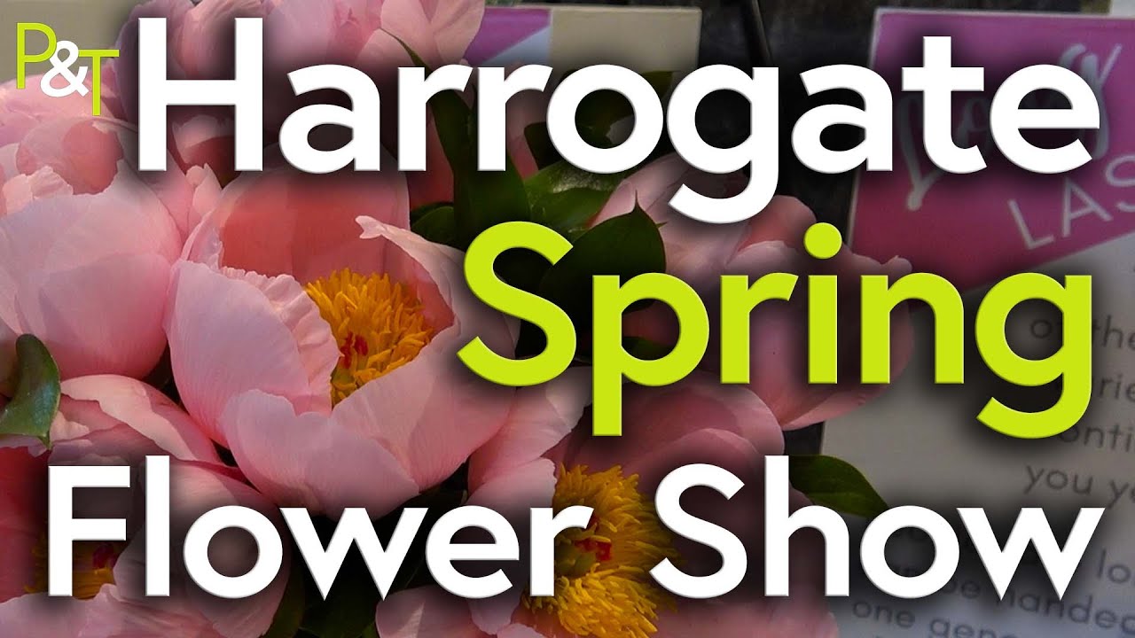 Harrogate Spring Flower Show Tour - Pots & Trowels