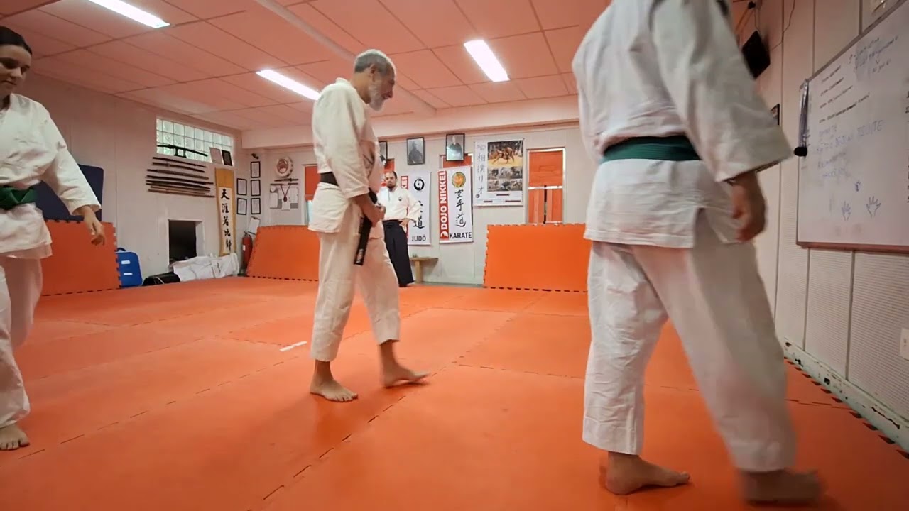 Aula de Aikido - Ai-Hammi Katatedori Irimi Henka Waza