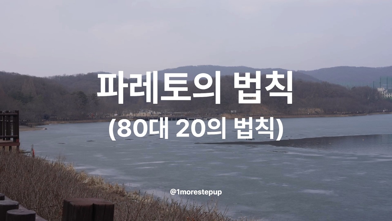 파레토의 법칙 (80대 20의 법칙)