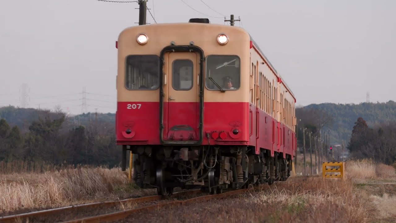 Canon CINEMA EOS C50 TEST