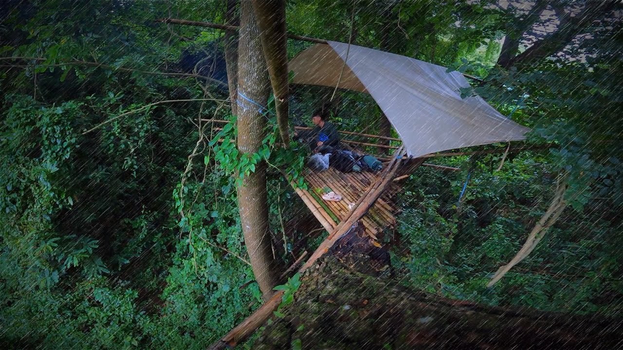 นอนห้างบนต้นไม้ใหญ่ มีฝนตกตลอดทั้งวันทั้งคืนจนติดอยู่ในป่าบนห้าง