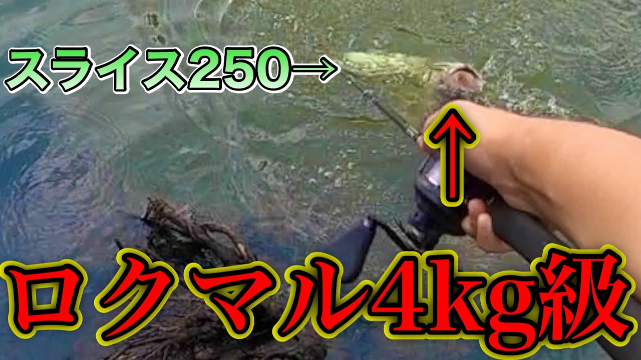 【2日目】スライドスイマー２５０でロクマル４kg級を狂わせた結果