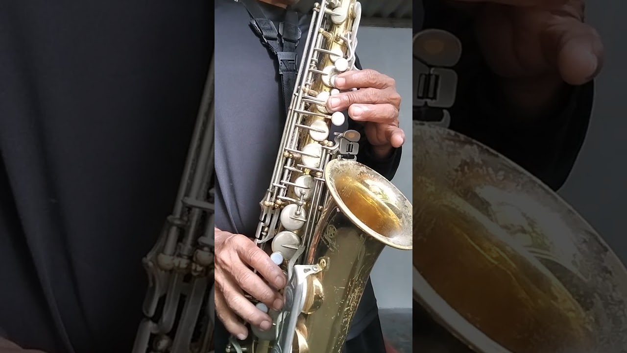 Tutorial Saxofon Alto : El son de la  Rabia (# Banda 466)