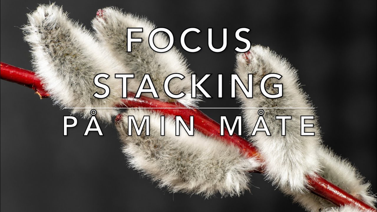 Fockus stacking