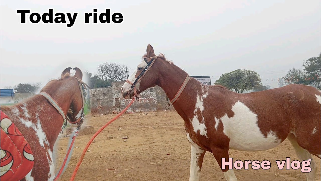 ਅੱਜ ਆਪਣੀ ਸੁੰਦਰੀ ਤੇ ਸਵਾਰੀ ਕਰਦੇ ਹਾਂ।