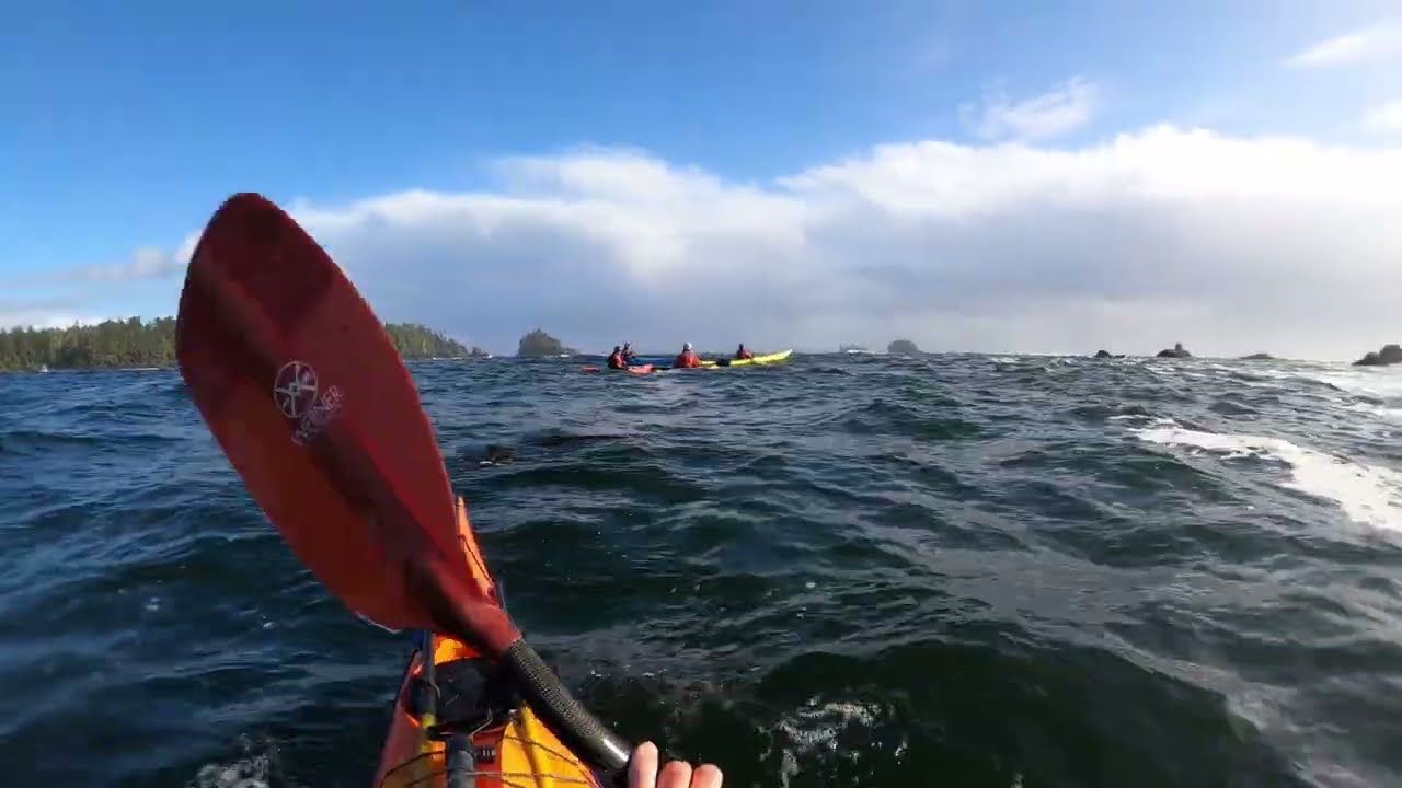 BEGG to be SURFED