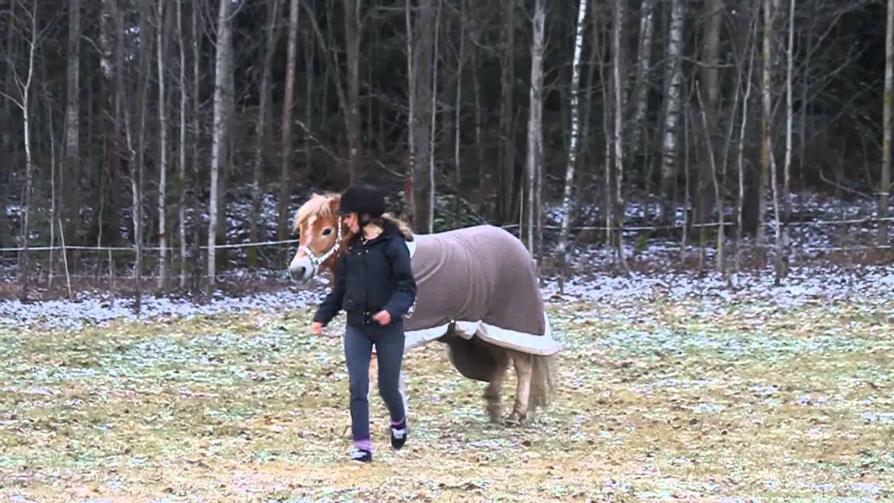 This moment is perfect