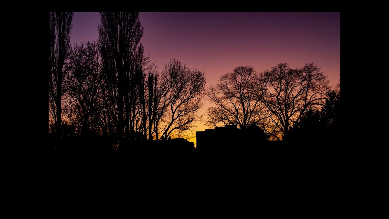 dark park snaps north London