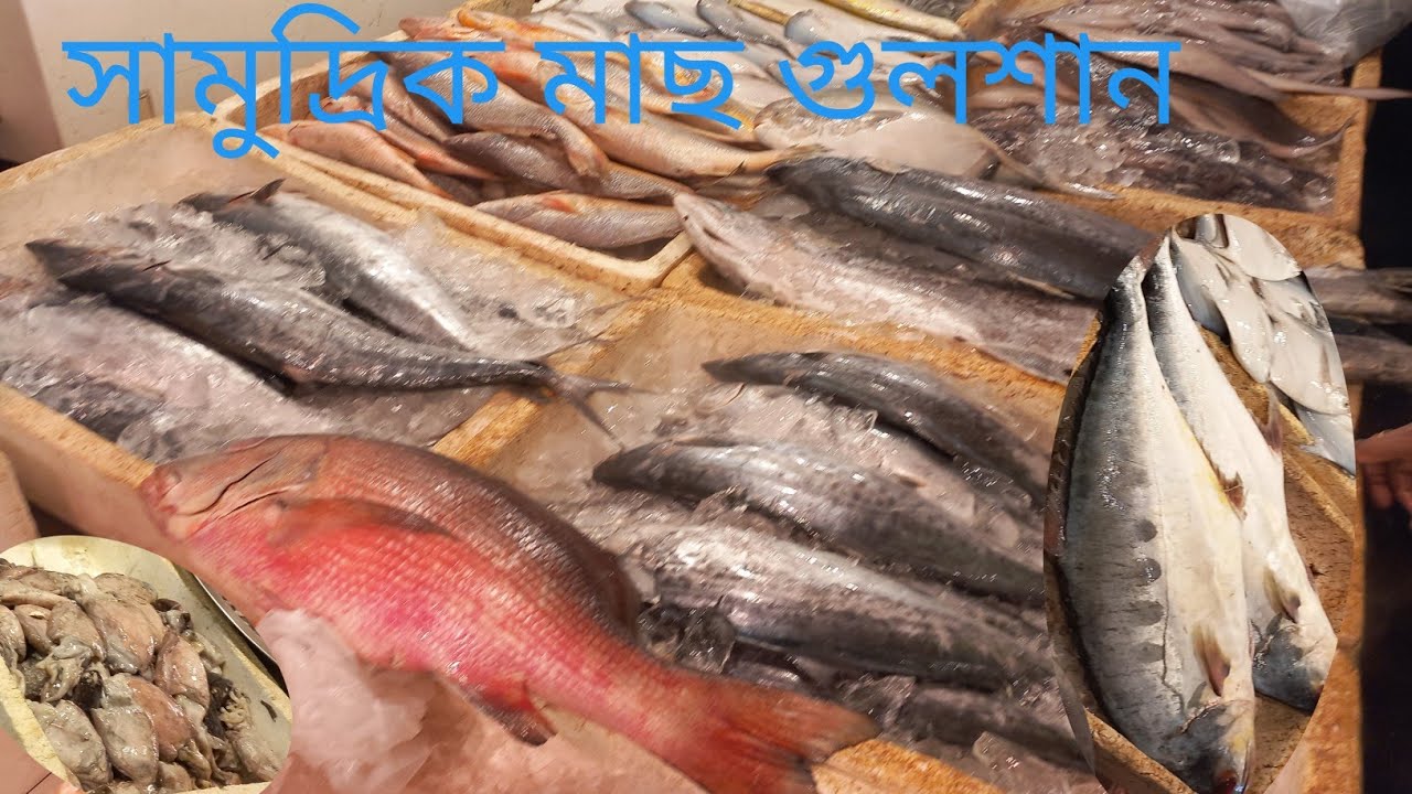 Dhaka,Gulshan 1 sea fish market, গুলশান-1 সামুদ্রিক মাছের বাজার