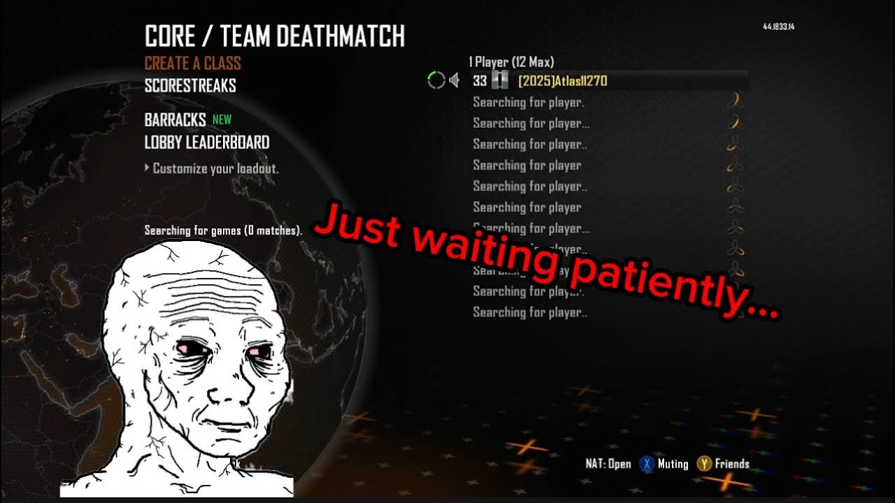 BO2 SERVERS ARE DOWN!