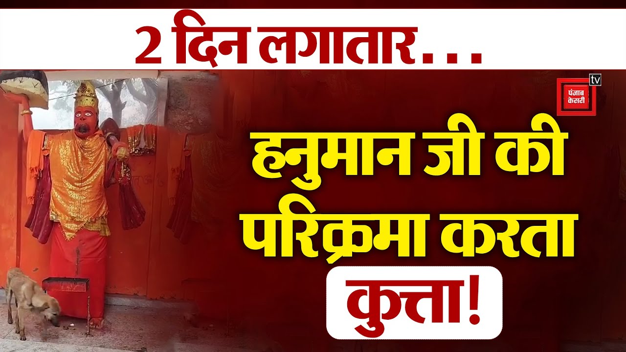 Bijnor:24 घंटे से Hanuman जी की परिक्रमा कर रहा Dog, देख कर श्रद्धालु हुए दंग!,मेले जैसा माहौल