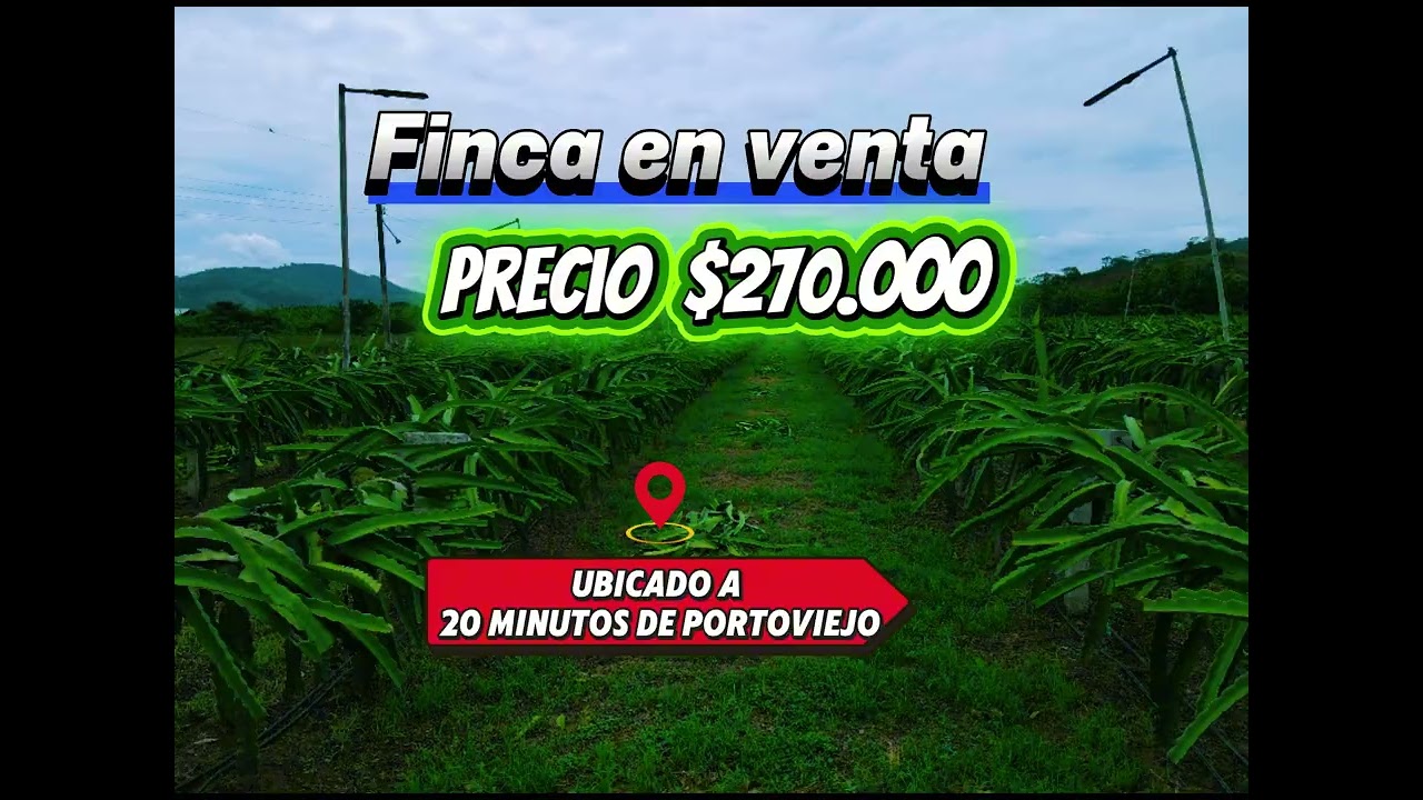 Finca de Vainilla y Arandonos