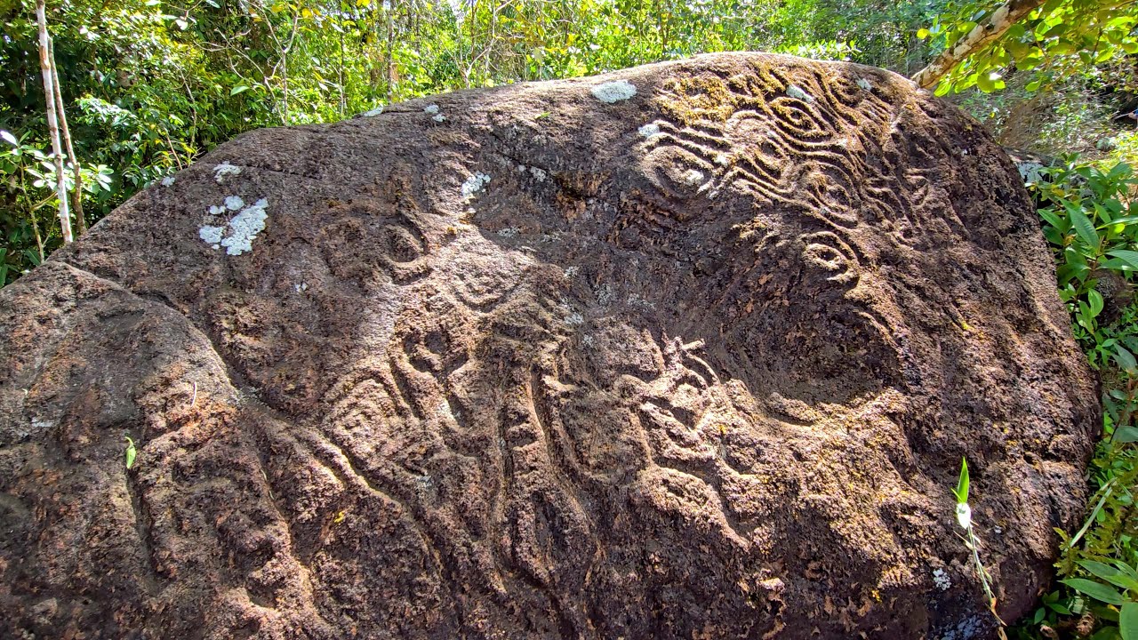 Reserva Forestal El Montuoso, Chepo, Provincia de Herrera, Las Minas, Panama