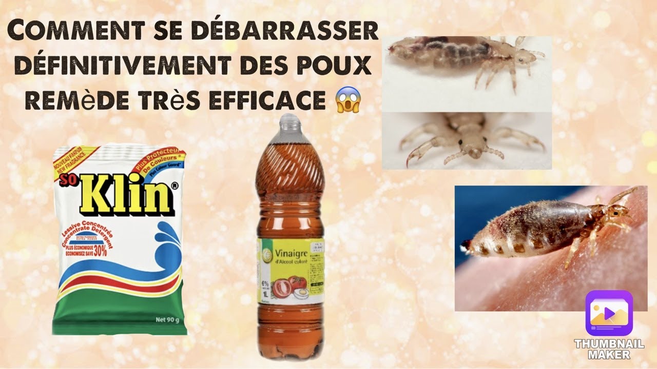 traitement anti poux remède très efficace  efficace