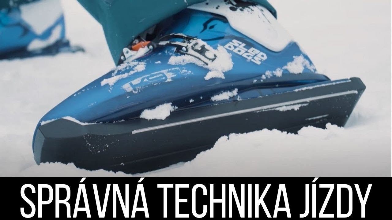 Jak se naučit jezdit na bruslích Sled Dogs