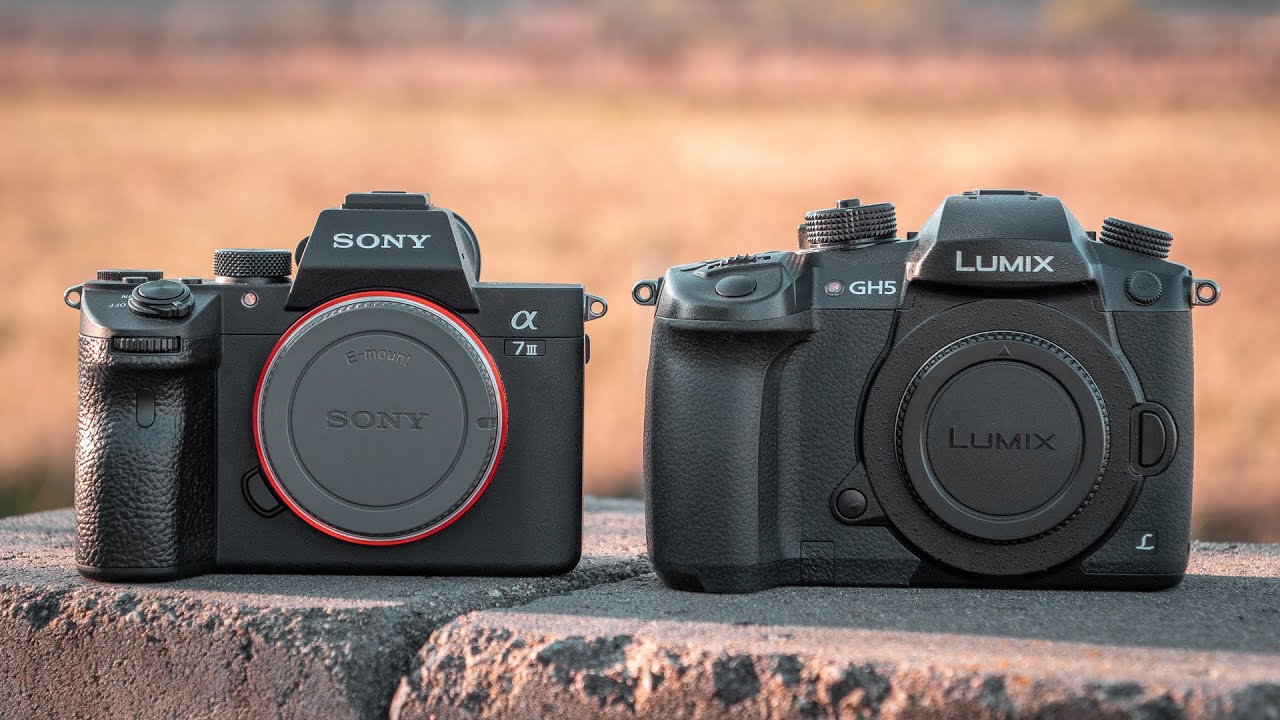 Sony A7III против Panasonic GH5 — сравнение гибридных камер 2019 года