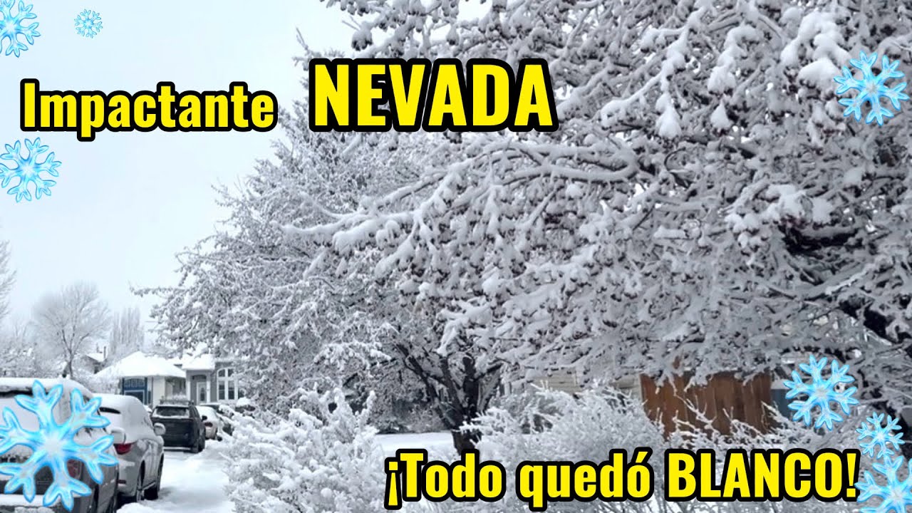 Impactante NEVADA | #winter #canada #white #tree 