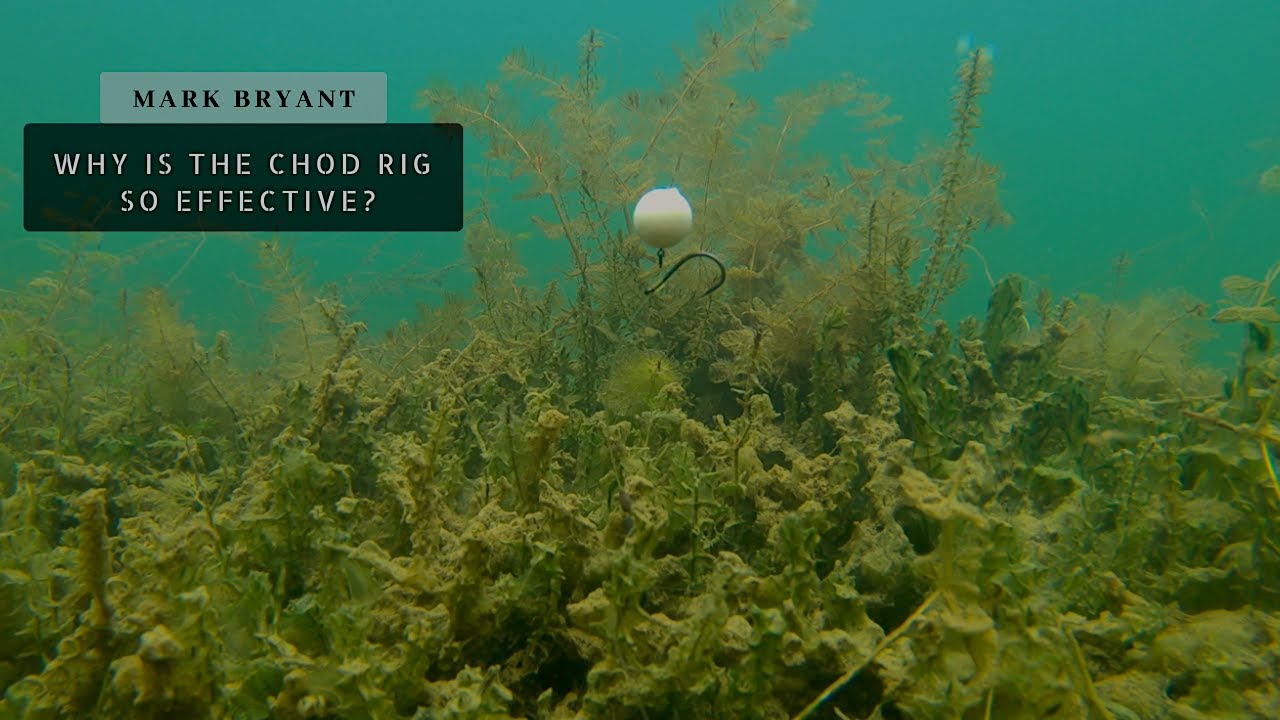 ПОЧЕМУ Чод Риг настолько ЭФФЕКТИВЕН?