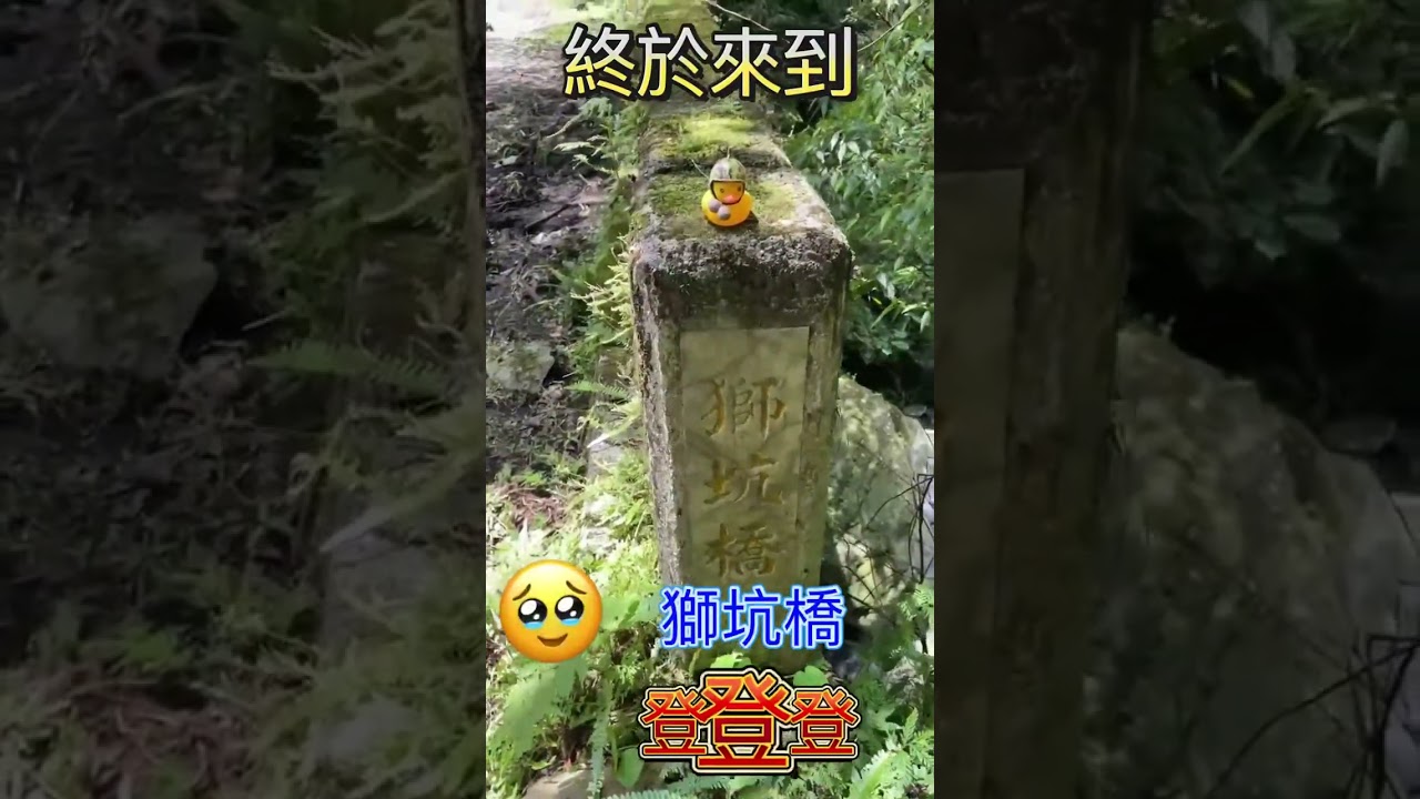 西坑林道4k雙瀑匯流口至獅坑橋路況
