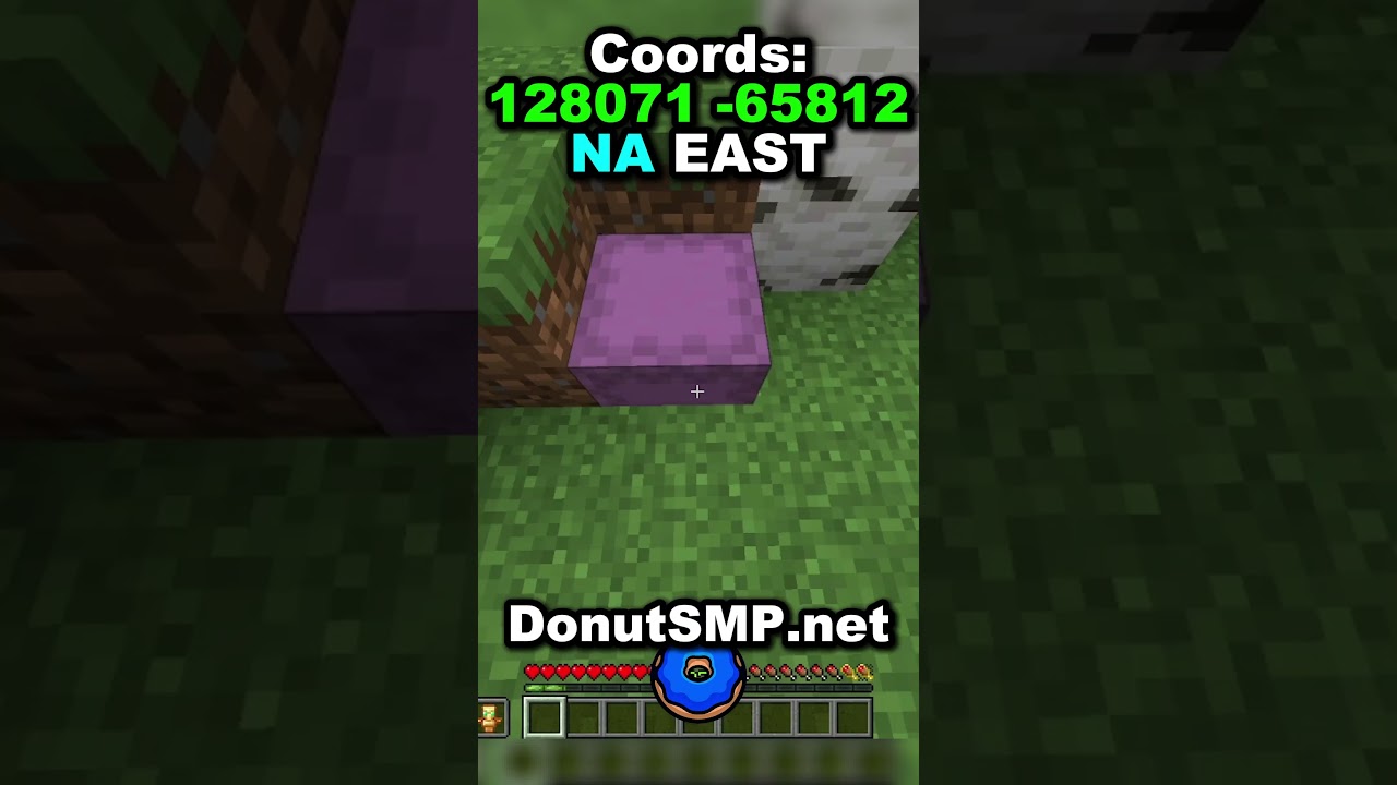 Hiding Loot On DonutSMP | Day 1 #donutsmp  #shorts  #drdonut