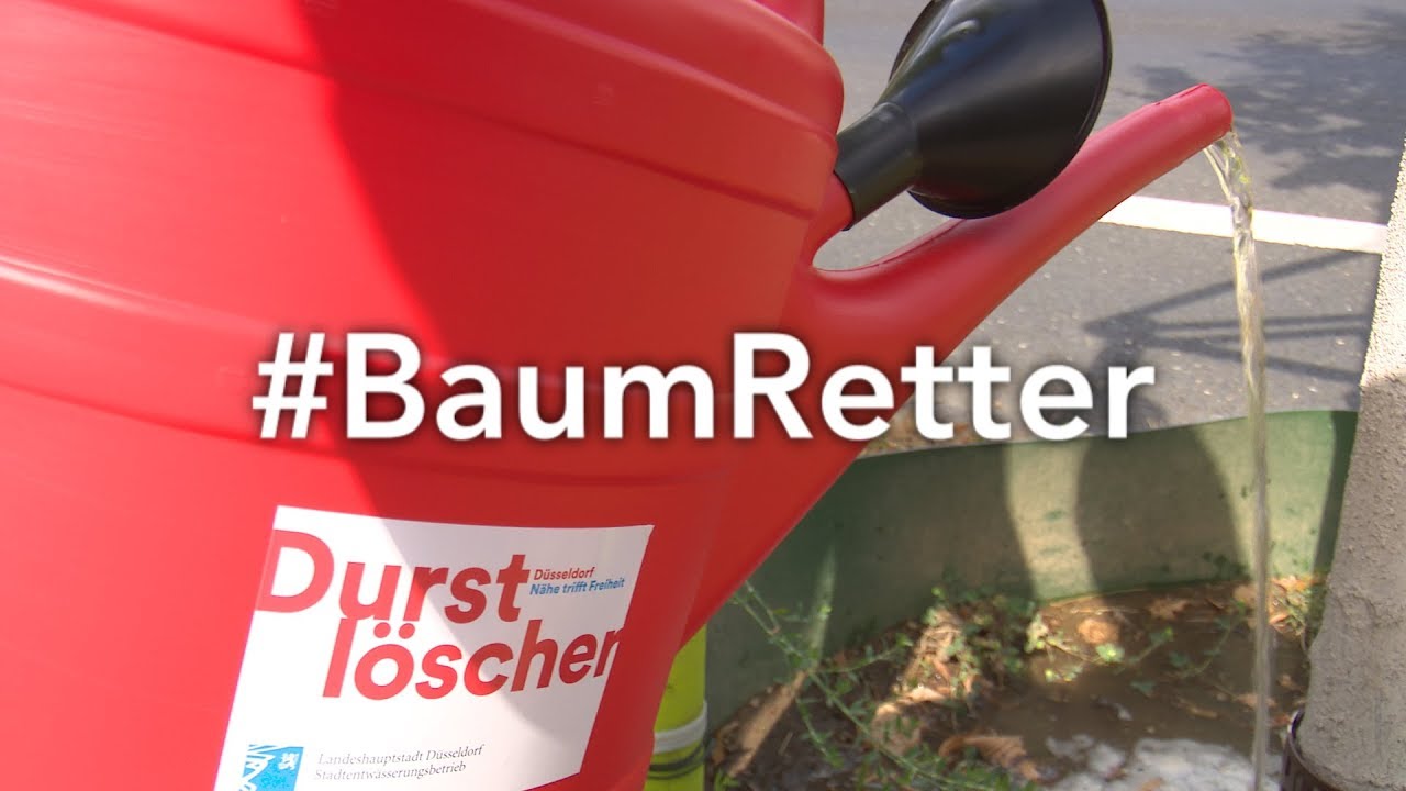 Bäume gießen für Düsseldorf!