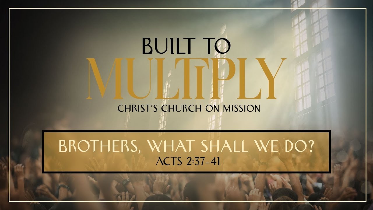 Grace Alive #2163 (2/8/2026)